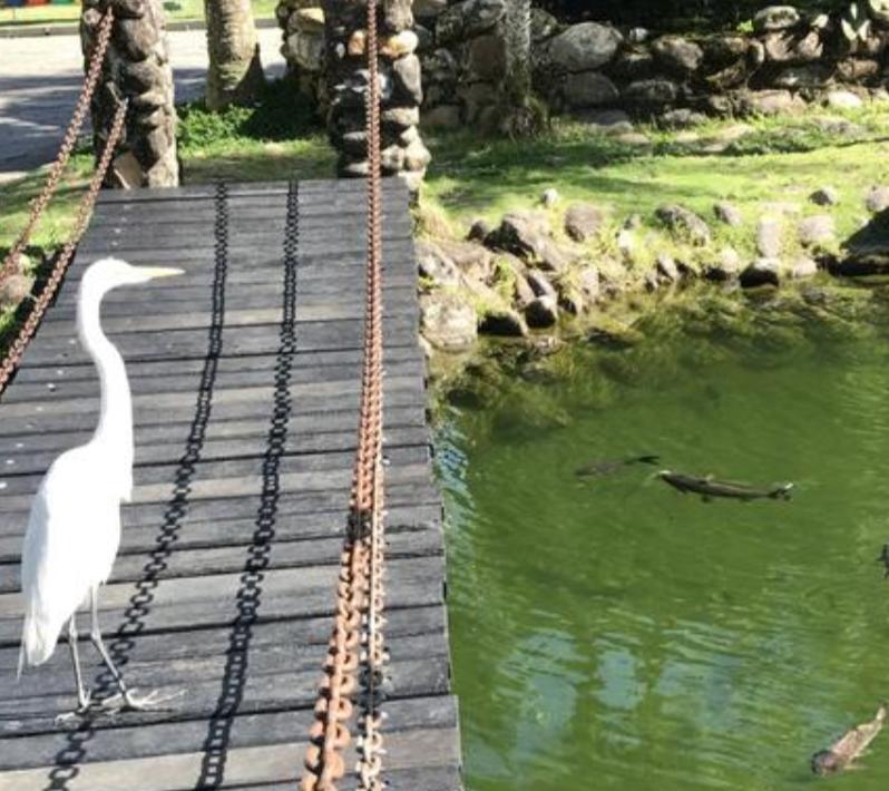 Ubatuba Apto. Wembley Tenisアパートメント エクステリア 写真